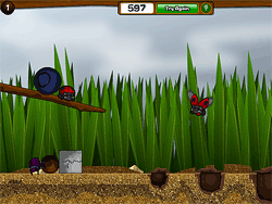 Dung Beetle Derby Game - Play online at Y8.com