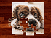 Funny Dogs Puzzle