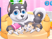 Cute Puppy Pregnant - Skill - Y8.COM