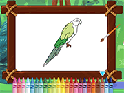 Parrot Pal Coloring - Fun/Crazy - Y8.COM