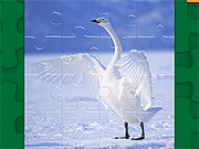 Graceful Swans Puzzle