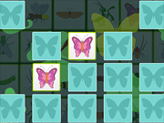 Kids Memory - Insects - Skill - Y8.COM