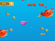 Eat Small Fishes - Skill - Y8.COM