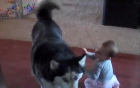 Dog Imitates Baby