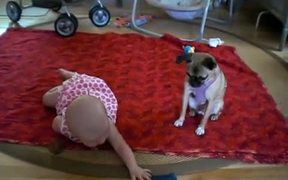 Dog Teaching Baby - Kids - VIDEOTIME.COM