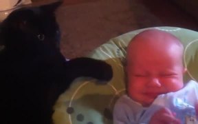 Cat Stops Baby Crying