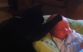 Cat Stops Baby Crying - Animals - VIDEOTIME.COM