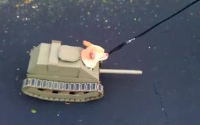 Tank Dog