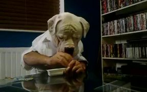 Dogman Dunking - Animals - VIDEOTIME.COM