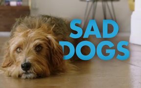 Dog Days Trailer 2