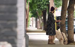 Dog Days Trailer 2 - Movie trailer - VIDEOTIME.COM