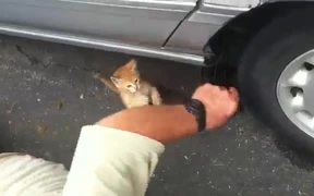 Kitty Mechanic
