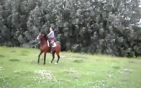 Jump Roping Horse