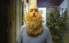 2747 Toothpick Beard