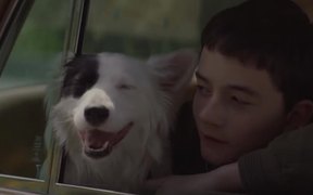 Boundaries Official Trailer - Movie trailer - VIDEOTIME.COM