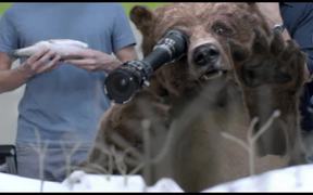 Ad | Canal + - The Bear - Commercials - VIDEOTIME.COM