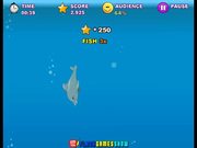 My Dolphin Show Walkthrough - Games - Y8.COM
