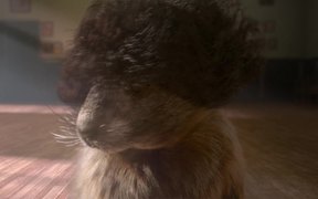 Marmottes - Flashdance - Commercials - VIDEOTIME.COM