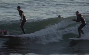Skyler The Surfing Dog