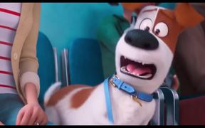 The Secret Life of Pets 2 Trailer - Movie trailer - VIDEOTIME.COM