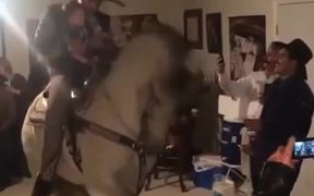 Horse House Party - Animals - VIDEOTIME.COM