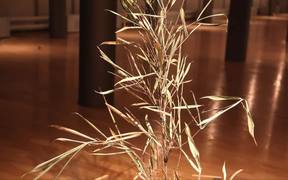 Moving Plants: Plant #1 - Tech - VIDEOTIME.COM