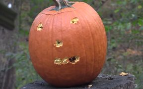 Gun Pumpkin Carving - Fun - VIDEOTIME.COM