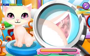 Stray Kitty Care Walkthrough - Games - VIDEOTIME.COM