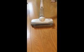 A Vacuum Cleaner Meets A Harmonica - Tech - VIDEOTIME.COM