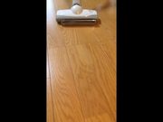 A Vacuum Cleaner Meets A Harmonica