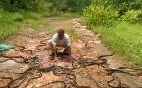 Releasing 285 Snakes At Once