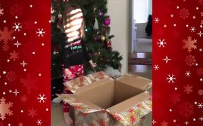 Cat Surprises Little Girl For Christmas