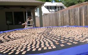 1000 Mouse Traps In Slow Motion