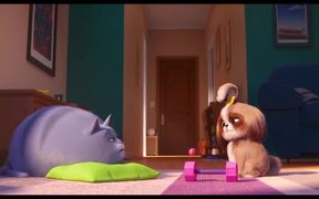 The Secret Life Of Pets 2 Trailer 4 - Movie trailer - VIDEOTIME.COM