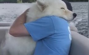 Man's Best Friend - Animals - VIDEOTIME.COM