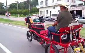 Modern Day Horse Carriage