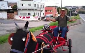 Modern Day Horse Carriage - Tech - VIDEOTIME.COM