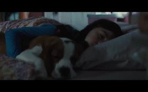 A Dog's Journey Trailer