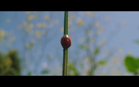 The Biggest Little Farm Official Trailer