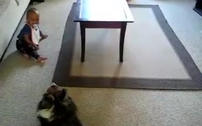 Baby & Dog - Kids - VIDEOTIME.COM