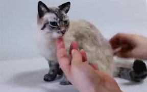 This Cat Looks So Real
