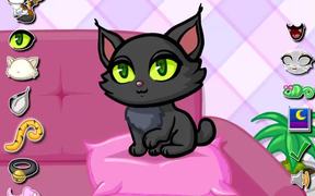 Purrfect Kitten Walkthrough - Games - VIDEOTIME.COM