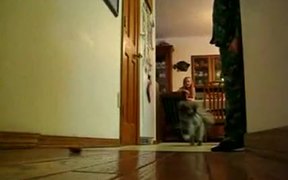 Run Saydee Run - Animals - VIDEOTIME.COM