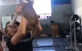 Dog Takes The Leap Of Faith