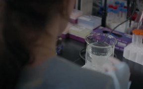 William Official Trailer - Movie trailer - VIDEOTIME.COM