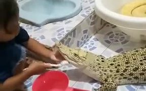 Brushing The Teeth Of Your Pet Alligator - Kids - VIDEOTIME.COM