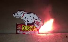 A Hilarious Pooping Dog Firecracker