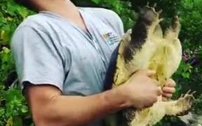 Never Try To Give A Turtle A Kiss