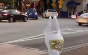 Plastic Bags Are Getting Out Of Hand