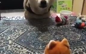 Puppy Conversation